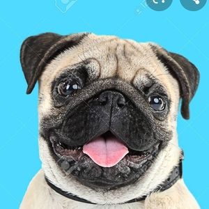 Meet your Posher, Aidan